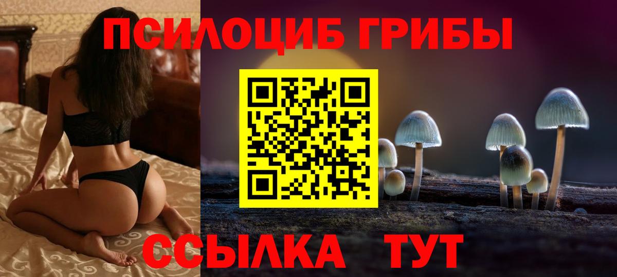 Галлюциногенные грибы прущие грибы  Вход с VPN  Каспийск  Псилоцибиновые грибы мицелий 